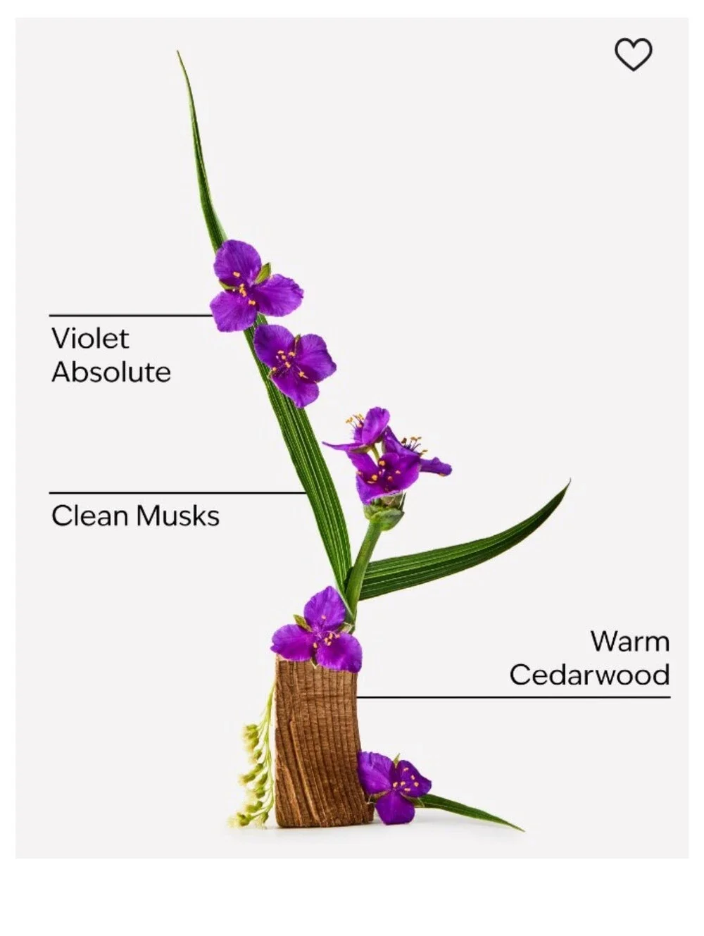 Bath & Body Works floral scented